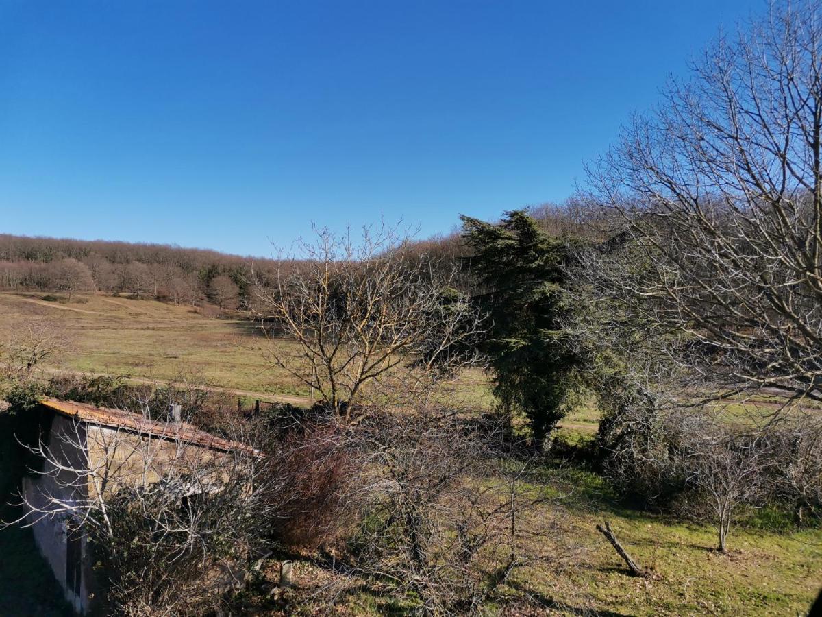 Casa Francigena Bed and Breakfast Vetralla Εξωτερικό φωτογραφία